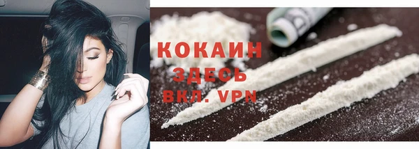 шишки Медногорск