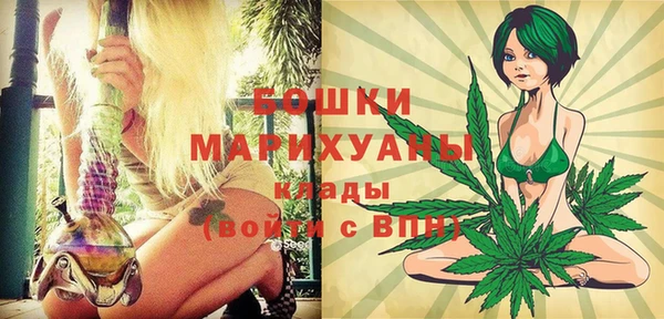 шишки Медногорск