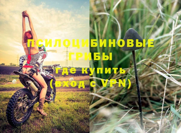 шишки Медногорск
