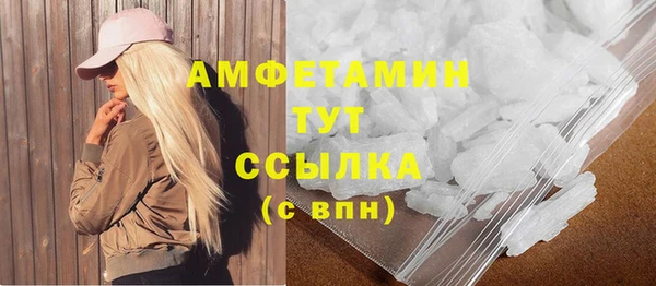 шишки Медногорск
