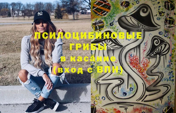 шишки Медногорск