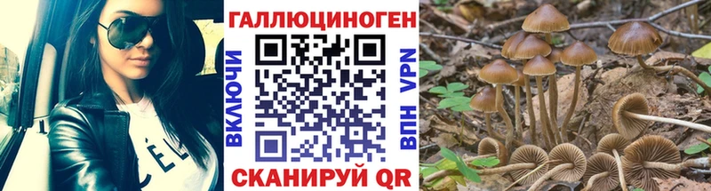 Псилоцибиновые грибы Psilocybine cubensis OMG зеркало Оханск